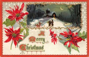 A MERRY CHRISTMAS Winter Glories Embossed Vintage Tuck Postcard 1911