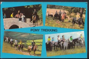 Animals Postcard - Horses - Pony Trekking Scenes  1783