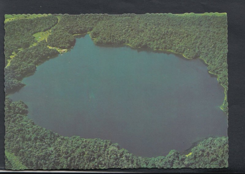 Australia Postcard - Lake Barrine Surrounded By a National Park Forest   RR3568