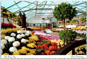 Postcard - Fall Flower Show, Como Conservatory, Como Park - St. Paul, Minnesota