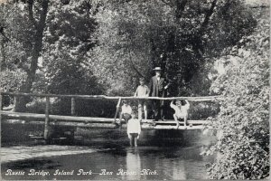 Ann Arbor MI Rustic Bridge Island Park Man with Boys Unused Litho Postcard G86