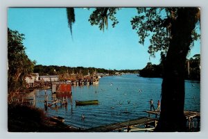 FL-Florida, Fishing Paradise, Seagulls, Boats, Docks, Boys, Chrome Postcard
