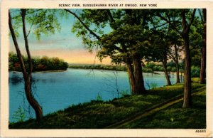 Postcard NY Owego Scenic View Susquehanna River Foot Path LINEN 1940 K33