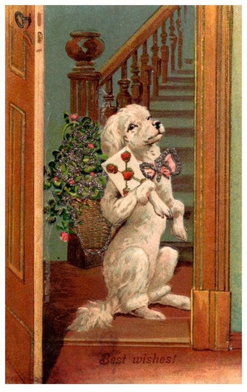 Dog ,  Best Wishes , Dog standing , Bow tie, Card and glitter flowers