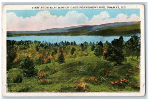 1946 View From East Side Of Lake Pennesseewassee Norway Maine ME Posted Postcard