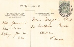 Animals Anthropomorphic Monkey Taking Photograph Cat Family 1905 postcard B920