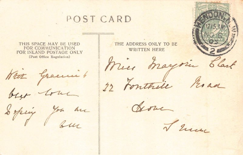 Animals Anthropomorphic Monkey Taking Photograph Cat Family 1905 postcard B920