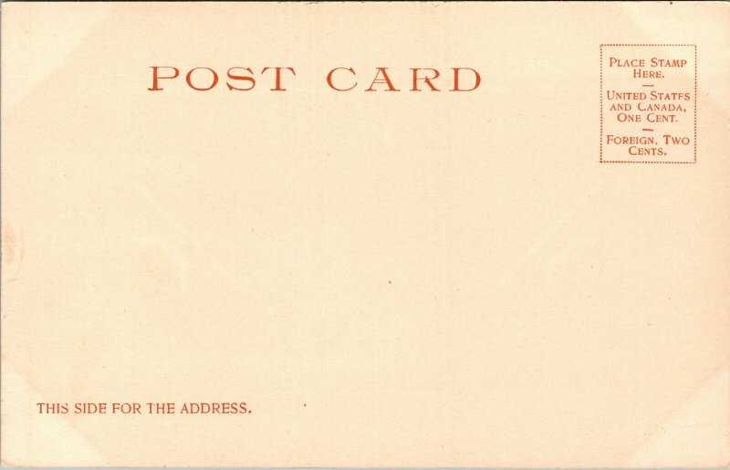 Vtg 1900s Princess Anne Hotel and Boardwalk Virginia Beach VA Postcard
