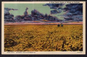 A West Texas Ocean of Wheat