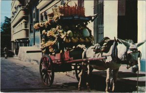 PC VENEZUELA, CARACAS, VENEDEDOR DE FRUTAS, Modern Postcard (b43663)