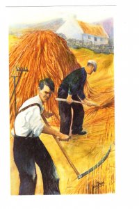 OVERSIZE, The Haymakers. Ireland, John Dixon Artist, 1977,  Synthe