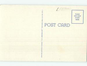 Unused Linen POSTCARD FROM Little Falls New York NY HM9144