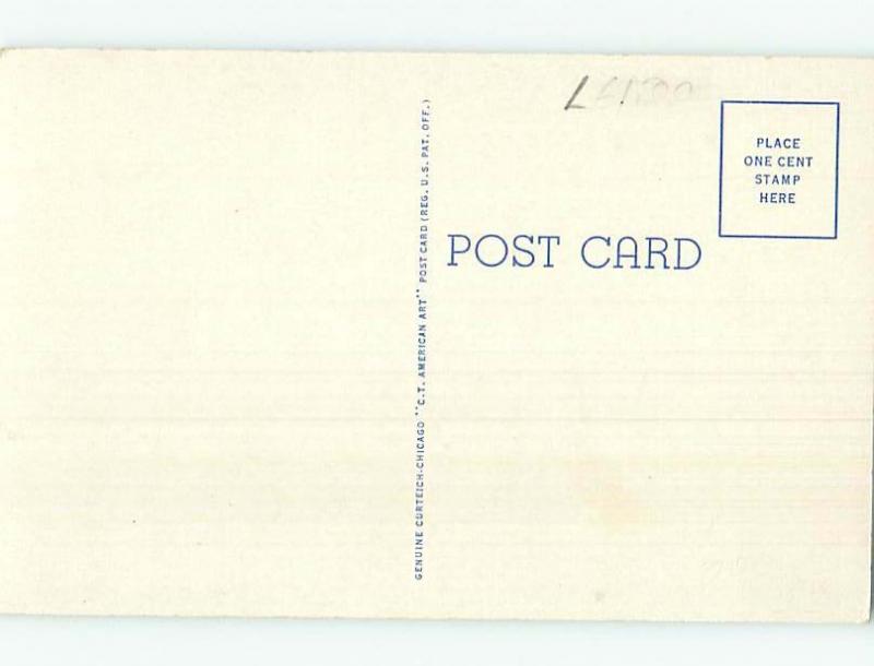 Unused Linen POSTCARD FROM Little Falls New York NY HM9144