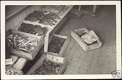 Scandinavian Fish Market, Boxes with Fish 30s RPPC 