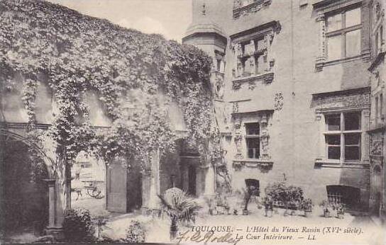 France Toulouse L'Hotel du Vieux Raisin La Cour Interieur