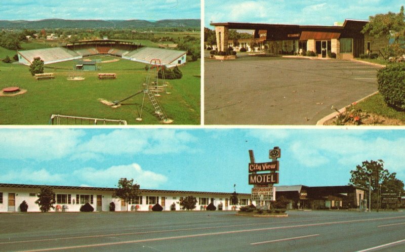 City View Hotel Williamsport Pennsylvania Mountain Setting Large Window Postcard 