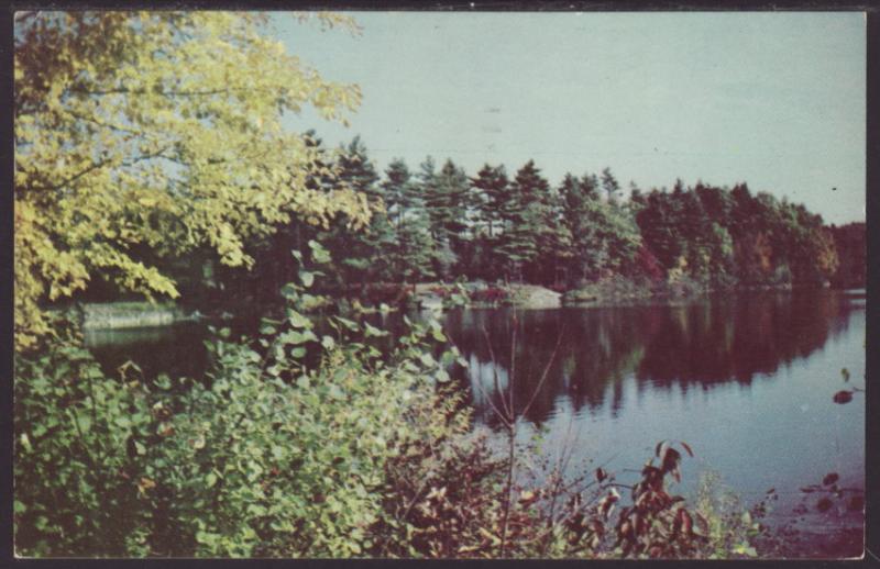 Greetings From Minocoua,WI Postcard BIN