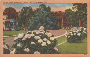 Postcard View Along Lake Drive Rehoboth Beach DE Delaware 1953