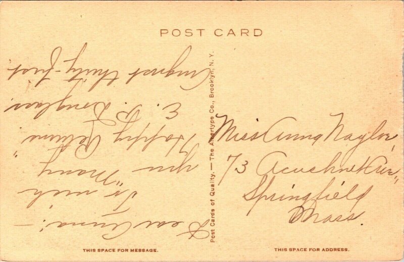 Steamer Washington Irving Passing Bear Mountain Hudson River Postcard WOB Note 