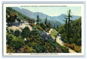 C. 1915 San Bernardino Mountains Big Bear Lake Switchbacks CA Postcard F52