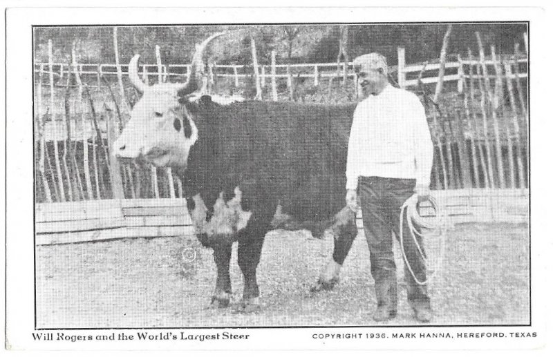 Will Rogers and the World's Largest Steer, copyright 1936 Mark Hanna