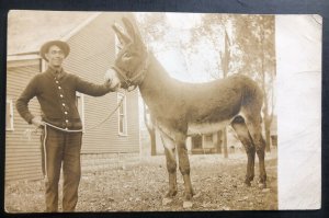 Mint USA Vintage  Real Picture Postcard RPPC Cowboy With Donkey