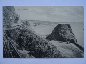 Devon DAWLISH Foot path around cliff edge c1907 Postcard by Chapman & Son