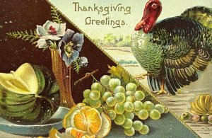 Vintage Postcard Thanksgiving Embossed Turkey Grapes Squash Spread ca. 1910