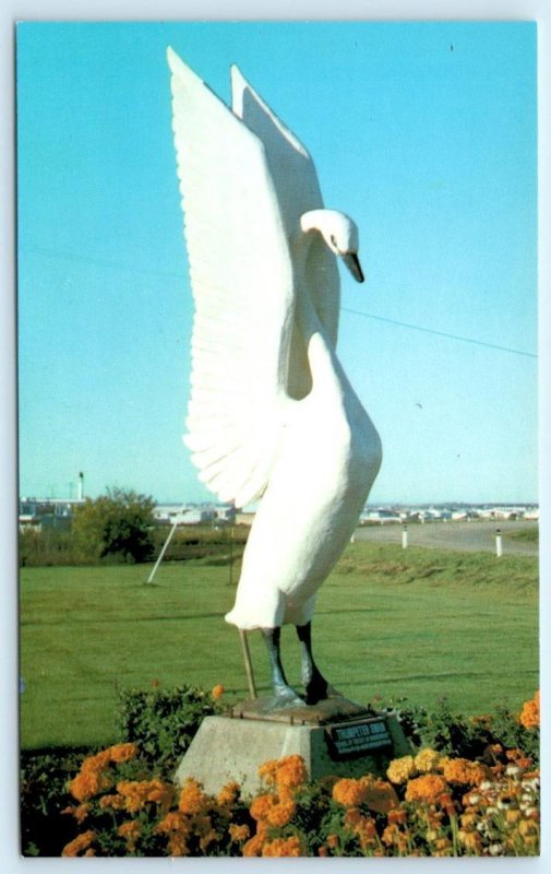 2 Postcards GRANDE PRAIRIE, Alberta Canada ~ COURT HOUSE & Trumpeter Swan 1960s