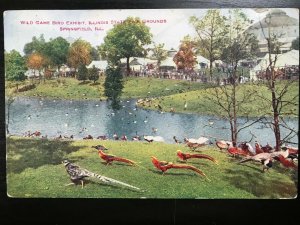 Vintage Postcard 1910 Wild Bird Exhibit Fair Grounds, Springfiled, Illinois (IL)