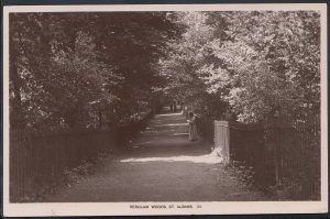 Hertfordshire Postcard - Verulam Woods, St Albans   DP670