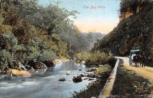 The Bog Walk Jamaica Unused 