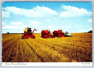 Harvest Time In Saskatchewan, Chrome Postcard #3