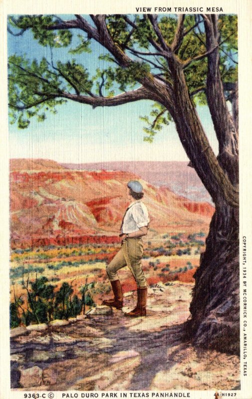 Texas Palo Duro Park View From Triassic Mesa Curteich