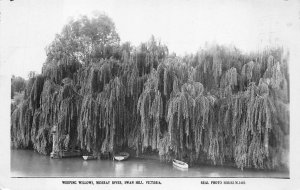 RPPC WILLOWS MURRAY RIVER SWAN HILL VICTORIA AUSTRALIA REAL PHOTO POSTCARD 1920s