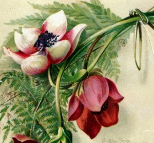 1870s-80s Victorian  New Year's Card Pretty Flowers Fab! F105