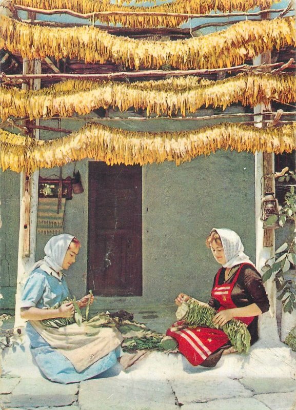 Postcard Greece Land of Tobacco woman drying tobacco illustration