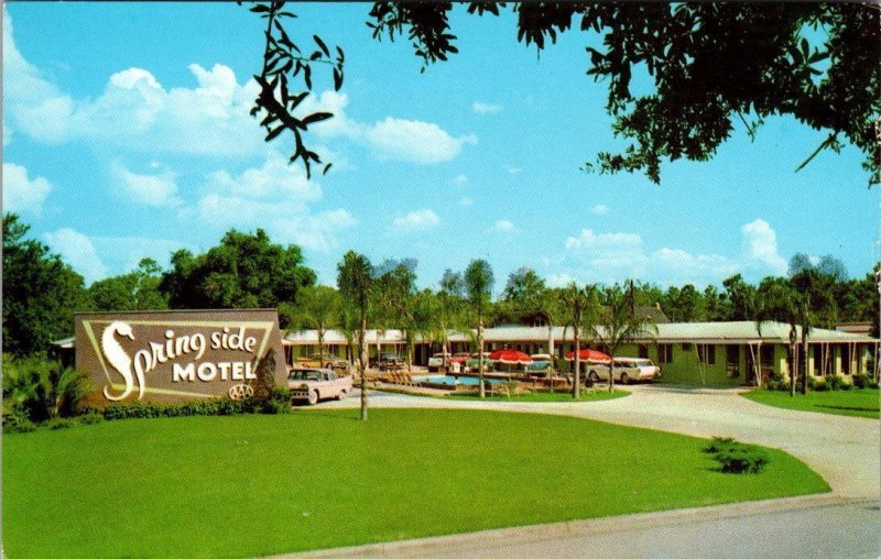 Silver Springs, FL Florida SPRING SIDE MOTEL~John Hugli ROADSIDE Chrome Postcard