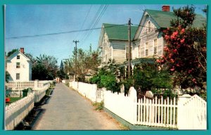 Virginia, Tangier Island - Street Scene - [VA-643]