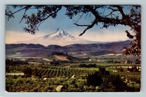 Mt. Hood OR- Oregon, Hood River Valley, Chrome Postcard