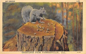 Nut Cracker Farmersville, Ill Squirrel Chipmunk Unused 