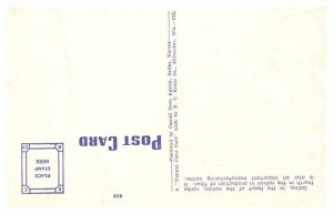 Postcard SKIING SCENE Salina Kansas KS AP8476