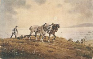 Horses. Working the land Old vintage Austrian postcard