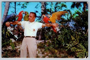 Macaws, Bird Trainer Rich Naegeli, Busch Gardens, Tampa FL Florida PU 1969