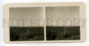 484520 1911 year ISRAEL Colony Mejdel Jews workers raise new STEREO PHOTO