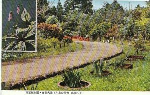 Japan Postcard - Mannyo Botanical-Garden - Kasuga Shrine - Nara   U1079