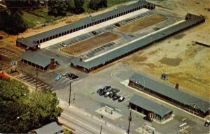 Mount Ephraim New Jersey Bo Bet Motel Birdseye View Antique Postcard K59247