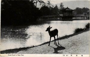 CPA AK Horai-Pond in Nara Park JAPAN (724233)