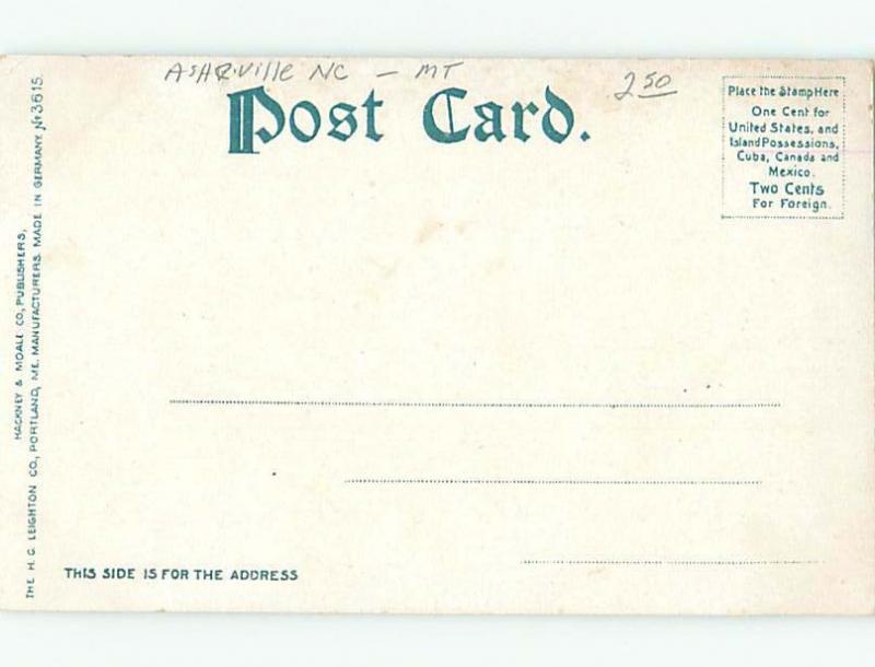 Divided-Back RUSTIC SCENE Ivy North Carolina NC W6325