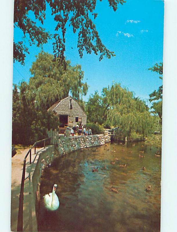 Pre-1980 DEXTER GRIST MILL ON SHAWAME POND Cape Cod - Sandwich MA Q0698